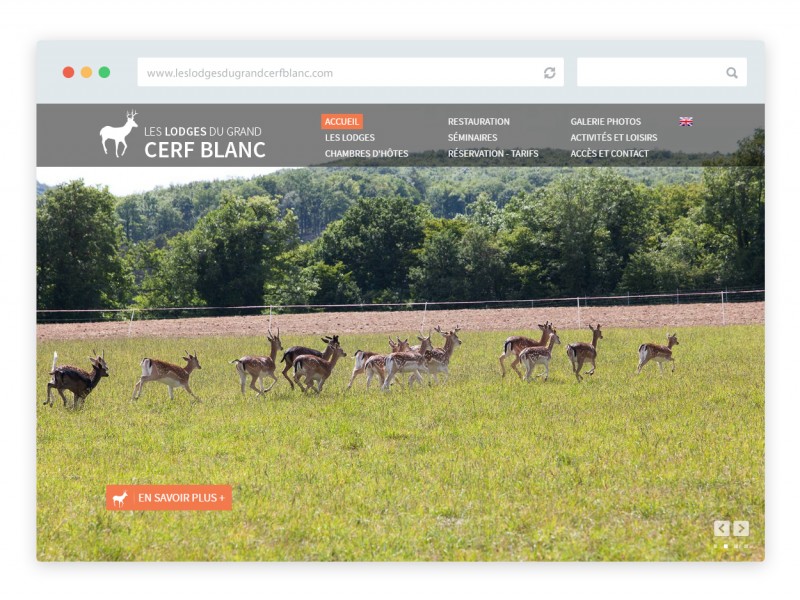 lodges-grand-cerf-blanc-web